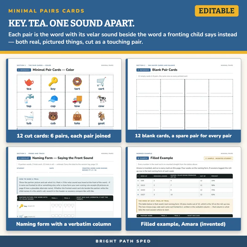 Fronting Minimal Pairs Picture Cards, image 3 of 4