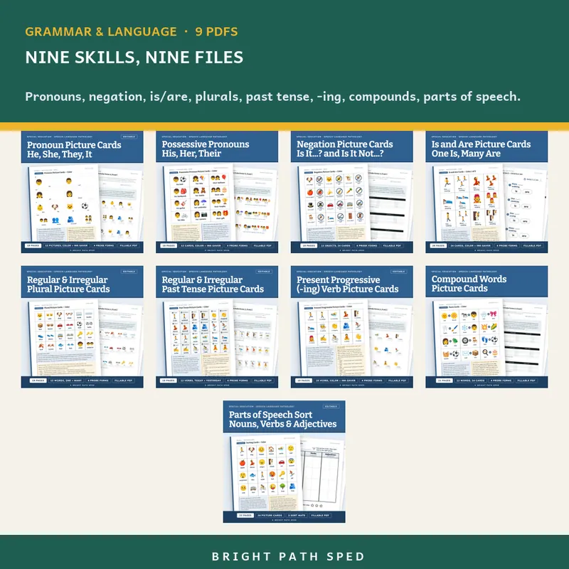 Grammar and Language Structures Picture Cards Bundle, image 2 of 3