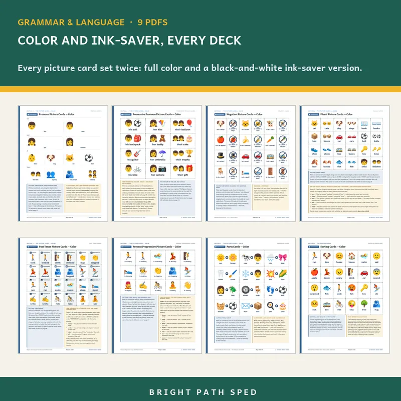 Grammar and Language Structures Picture Cards Bundle, image 3 of 3