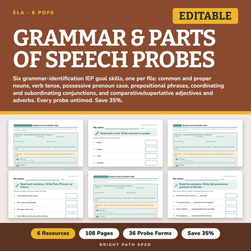 Grammar and Parts of Speech Identification Probes Bundle, image 1 of 3