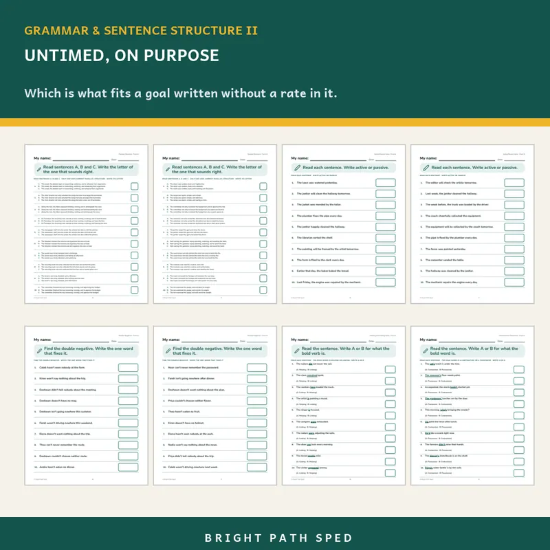 Grammar and Sentence Structure II Progress Monitoring Probes Bundle, image 3 of 3