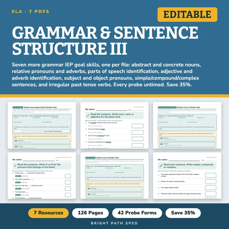Grammar and Sentence Structure III Progress Monitoring Probes Bundle, image 1 of 3