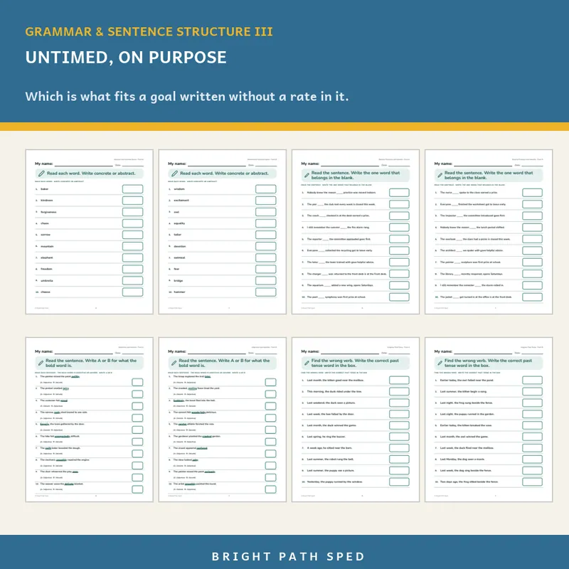 Grammar and Sentence Structure III Progress Monitoring Probes Bundle, image 3 of 3