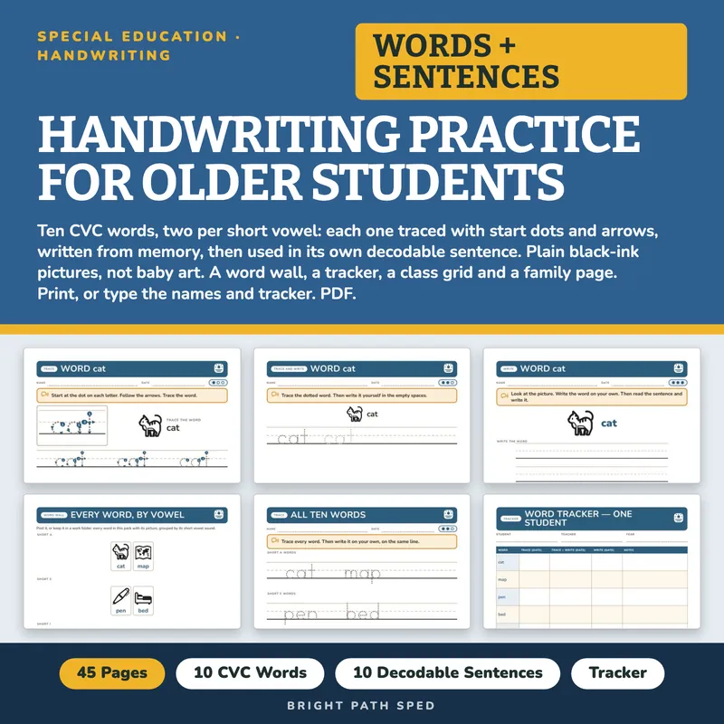 Handwriting Practice CVC Words and Sentences, image 1 of 4