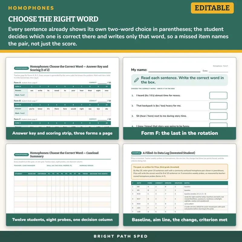 Homophones Choose the Correct Word Progress Monitoring Probes, image 3 of 4