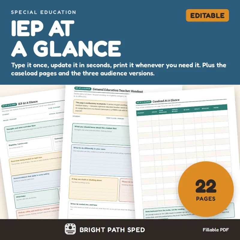 IEP At A Glance Editable Fillable PDF, image 1 of 4