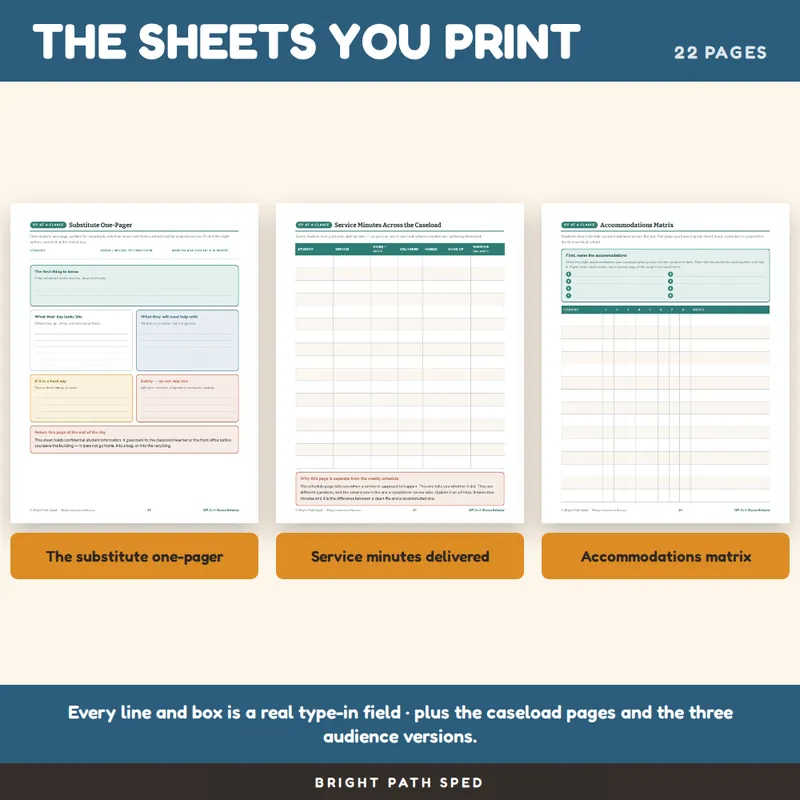 IEP At A Glance Editable Fillable PDF, image 3 of 4