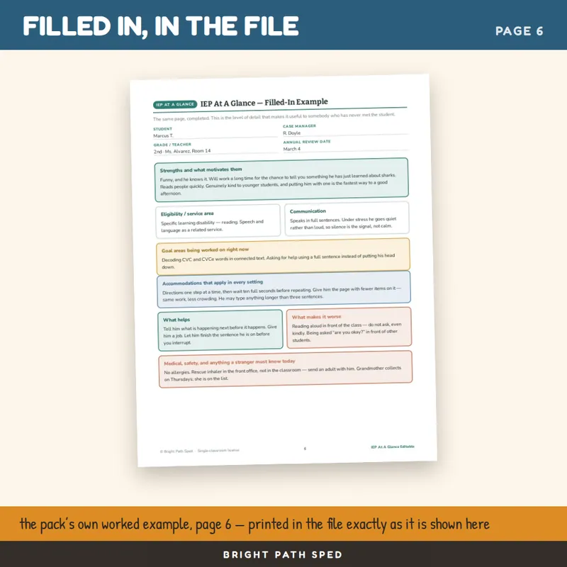 IEP At A Glance Editable Fillable PDF, image 4 of 4