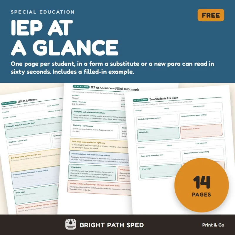 IEP At A Glance FREE, image 1 of 4