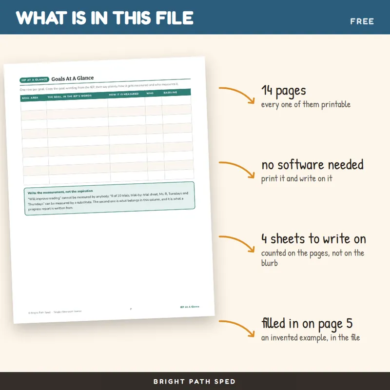 IEP At A Glance FREE, image 2 of 4