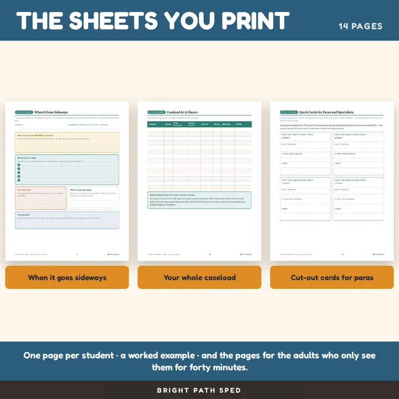IEP At A Glance FREE, image 3 of 4
