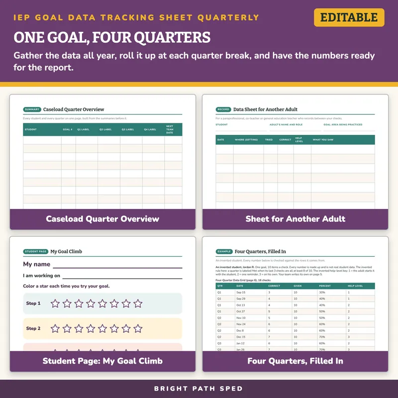IEP Goal Data Tracking Sheet Quarterly Editable, image 3 of 4