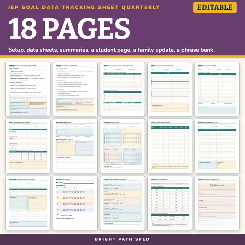 IEP Goal Data Tracking Sheet Quarterly Editable, image 4 of 4