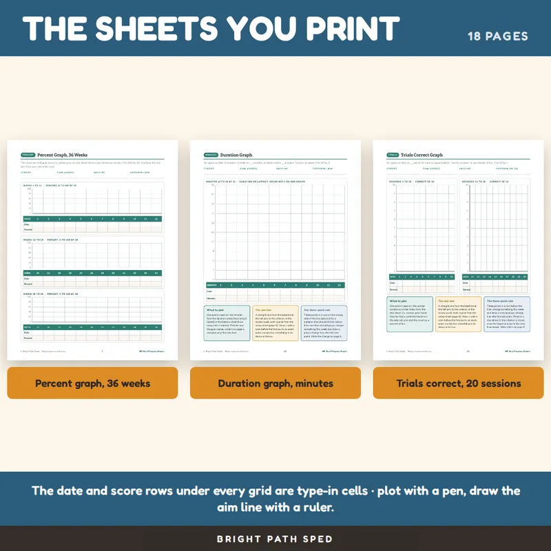 IEP Goal Progress Graphs Editable, image 3 of 4