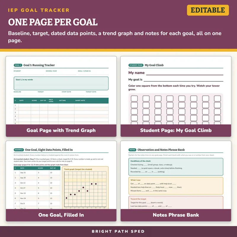 IEP Goal Tracker Editable, image 3 of 4