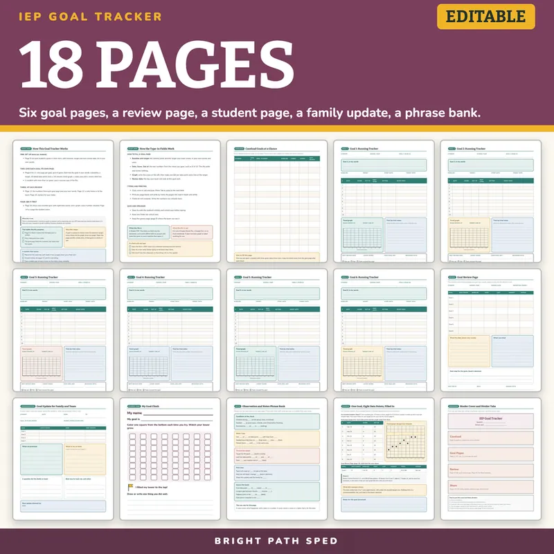 IEP Goal Tracker Editable, image 4 of 4