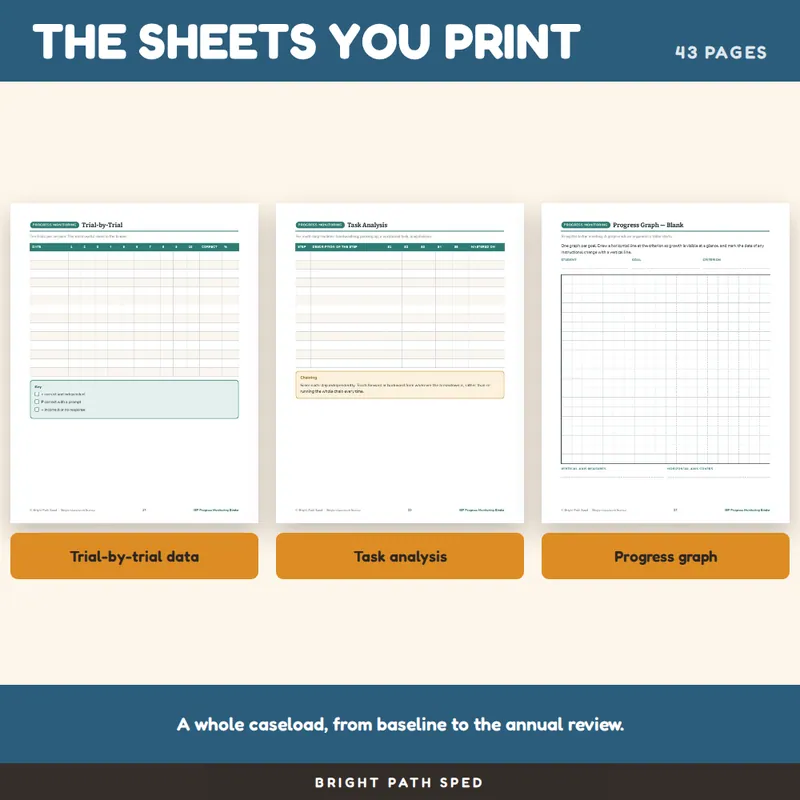 IEP Goal Tracking and Data Collection Sheets, image 3 of 4