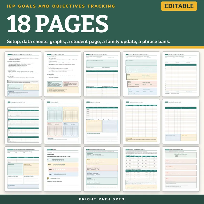 IEP Goals and Objectives Tracking Editable, image 4 of 4
