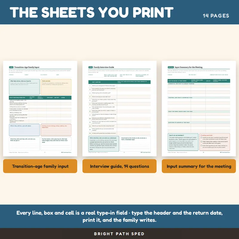 IEP Parent Input Form Editable, image 3 of 4
