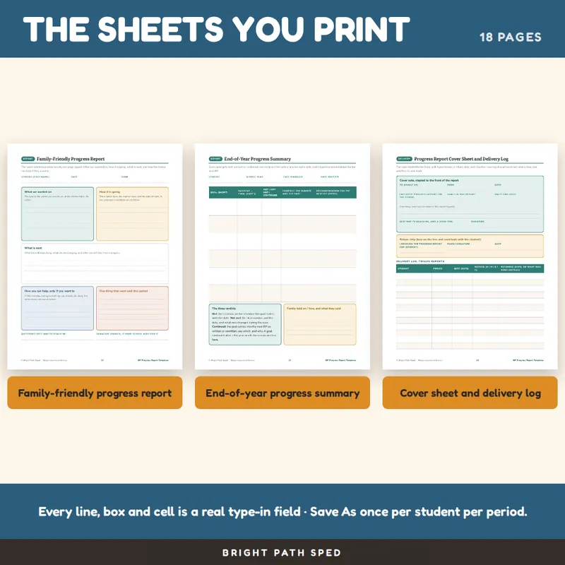 IEP Progress Report Template Editable, image 3 of 4