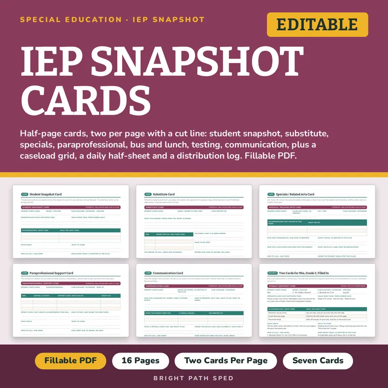 IEP Snapshot Cards Editable, image 1 of 4
