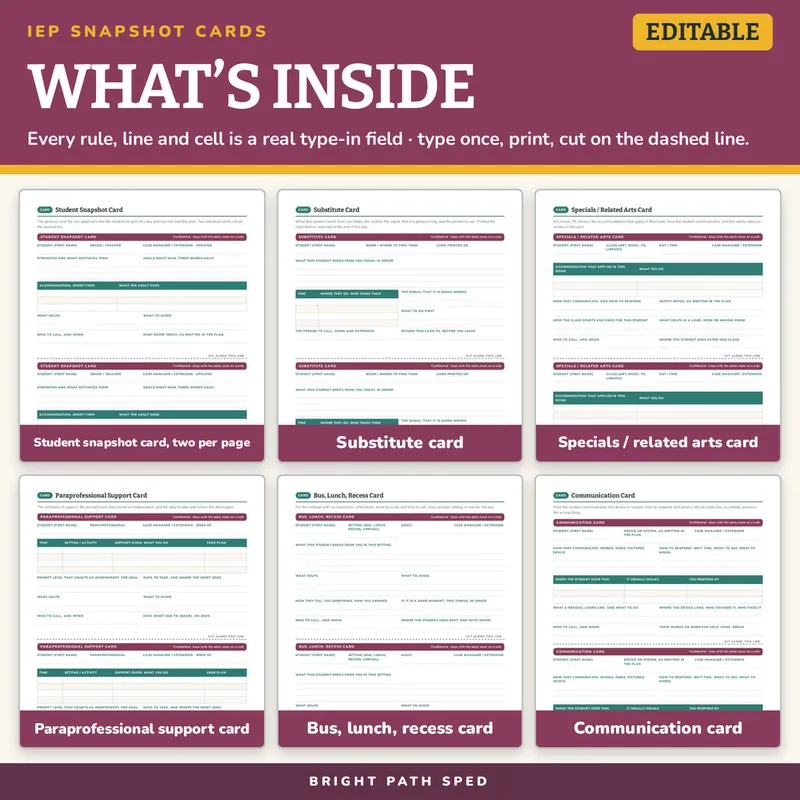 IEP Snapshot Cards Editable, image 2 of 4
