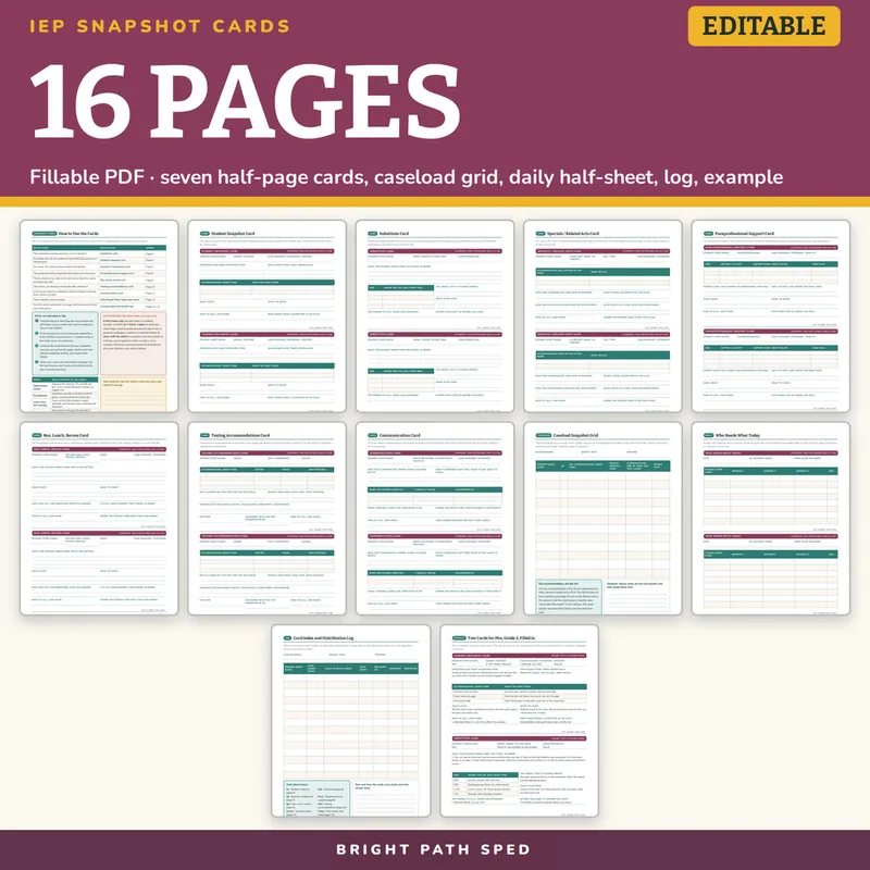 IEP Snapshot Cards Editable, image 4 of 4