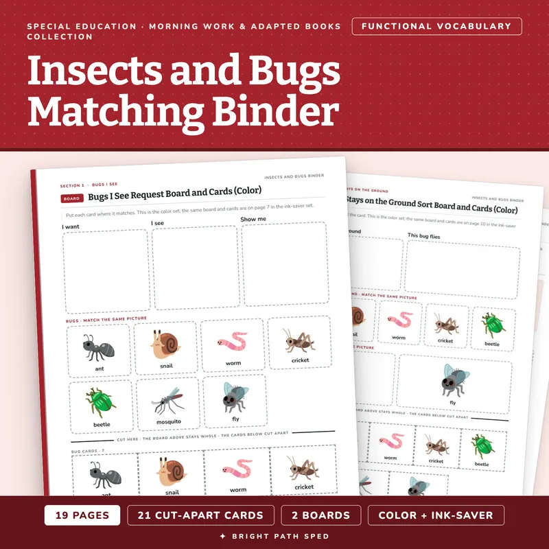 Insects and Bugs Matching Binder, image 1 of 4