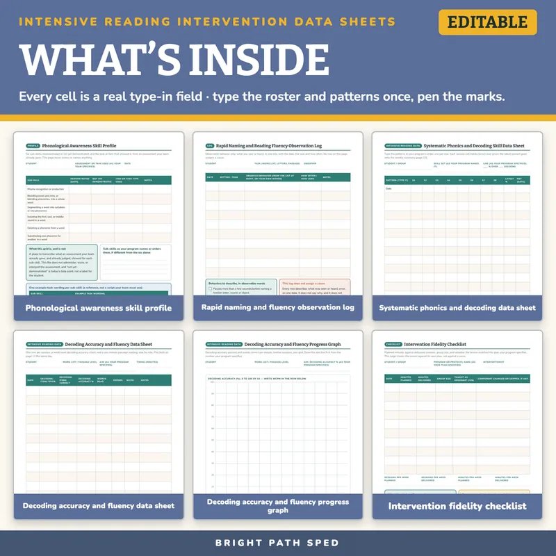 Intensive Reading Intervention Progress Monitoring Data Sheets Editable, image 2 of 4