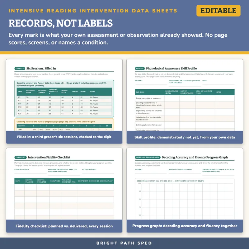 Intensive Reading Intervention Progress Monitoring Data Sheets Editable, image 3 of 4