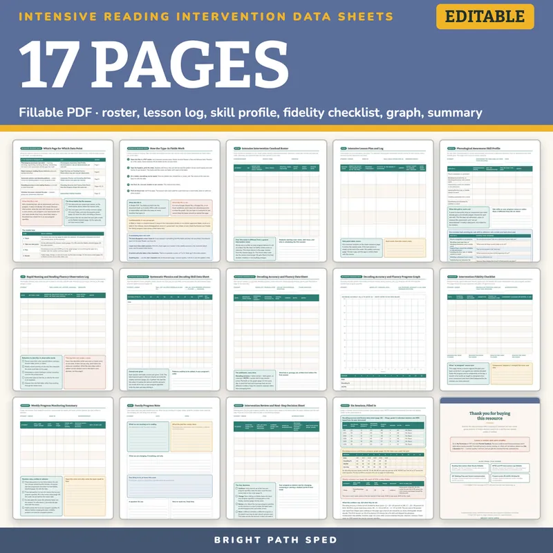Intensive Reading Intervention Progress Monitoring Data Sheets Editable, image 4 of 4