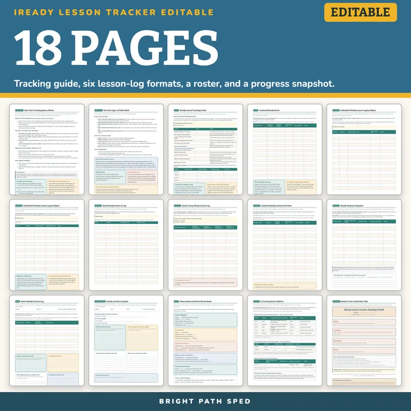 iReady Lesson Tracker Editable, for Use With iReady Lessons, image 4 of 4