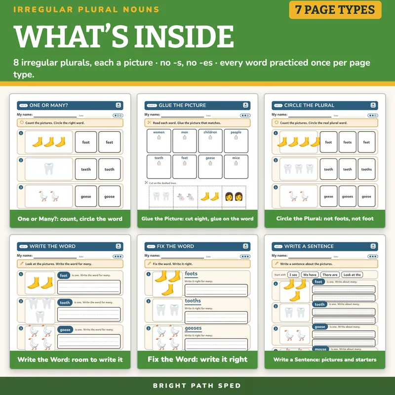 Irregular Plural Nouns Worksheets (Feet, Mice, Geese) K-1st Grade, image 2 of 4
