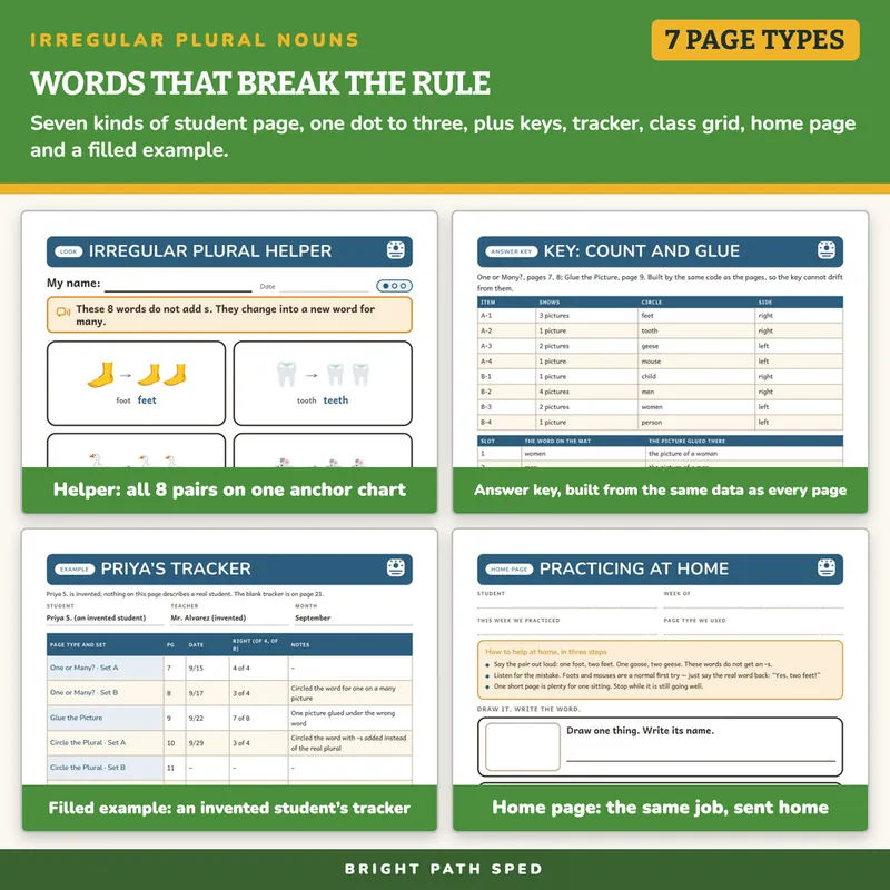 Irregular Plural Nouns Worksheets (Feet, Mice, Geese) K-1st Grade, image 3 of 4