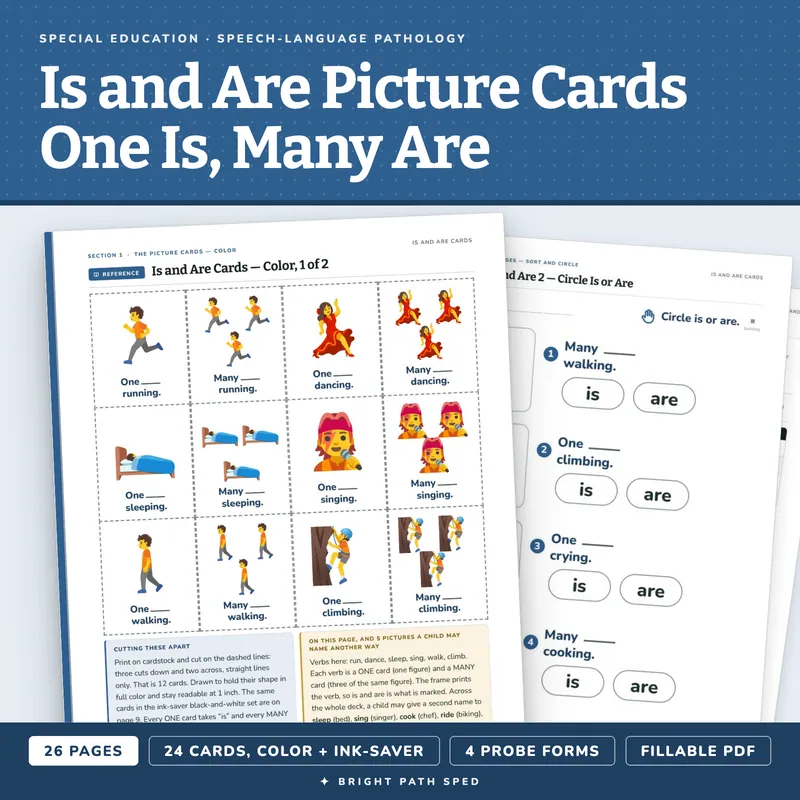 Is and Are Picture Cards, image 1 of 4