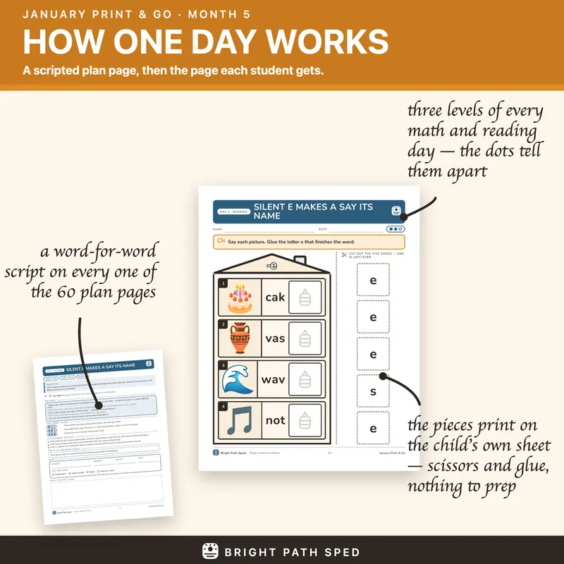 January Print and Go Month 5 SPED Lesson Plans Math Reading Social Skills, image 2 of 4