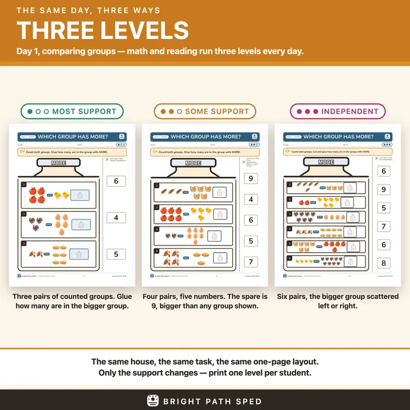 January Print and Go Month 5 SPED Lesson Plans Math Reading Social Skills, image 3 of 4