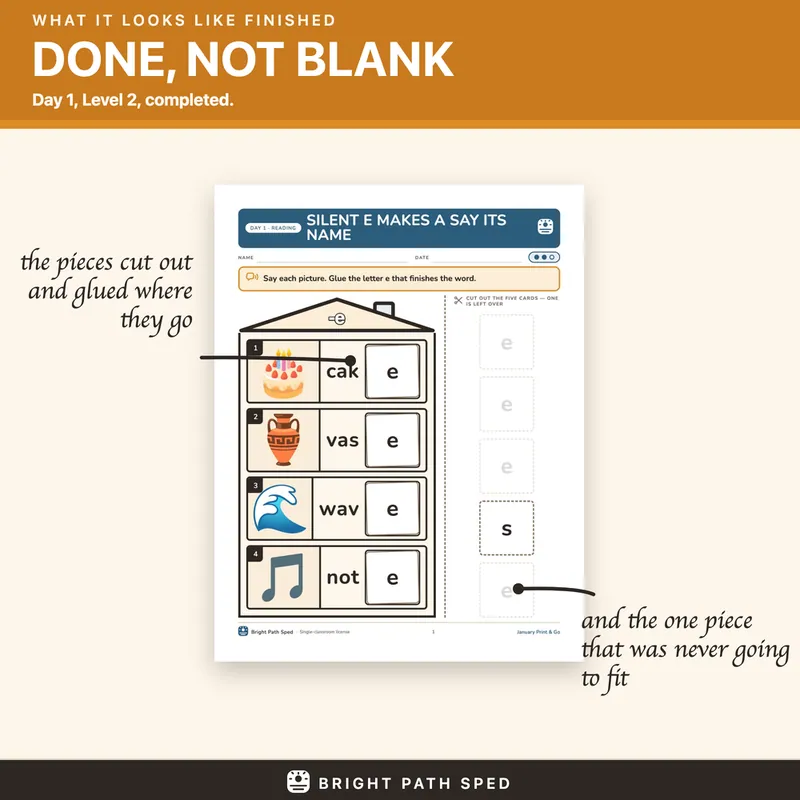 January Print and Go Month 5 SPED Lesson Plans Math Reading Social Skills, image 4 of 4