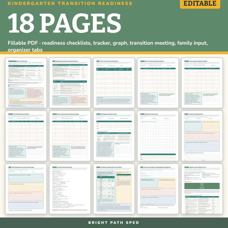 Kindergarten Transition Readiness Monitoring Data Sheets Editable, image 4 of 4