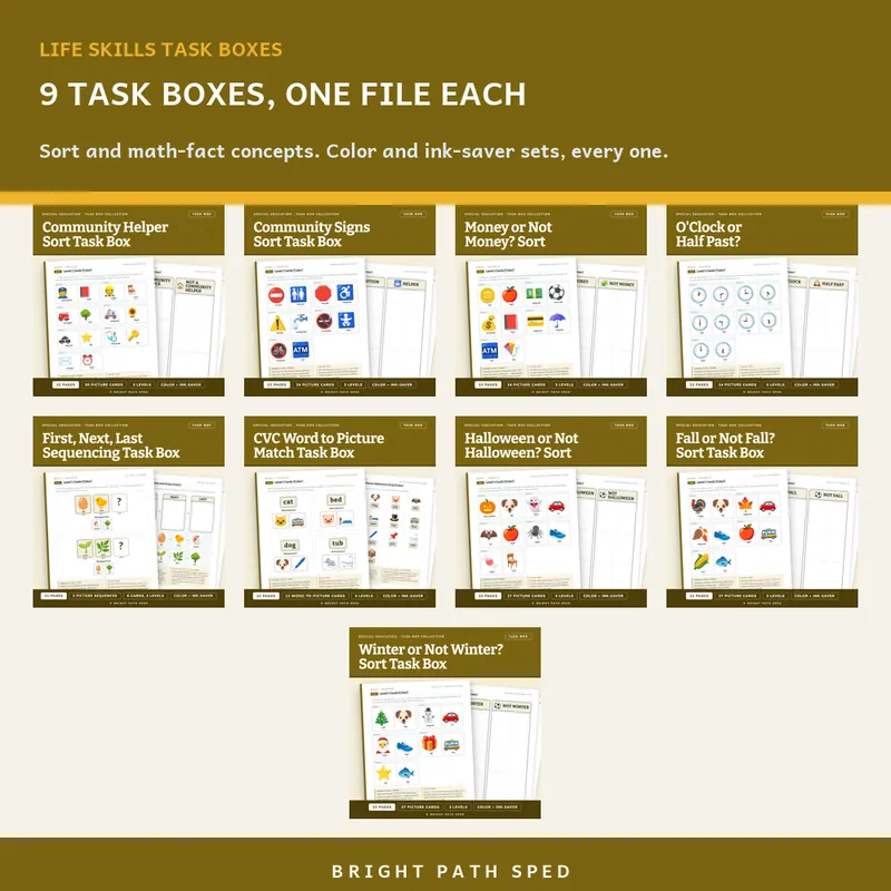 Life Skills and Community Sort Task Box Bundle, image 2 of 3