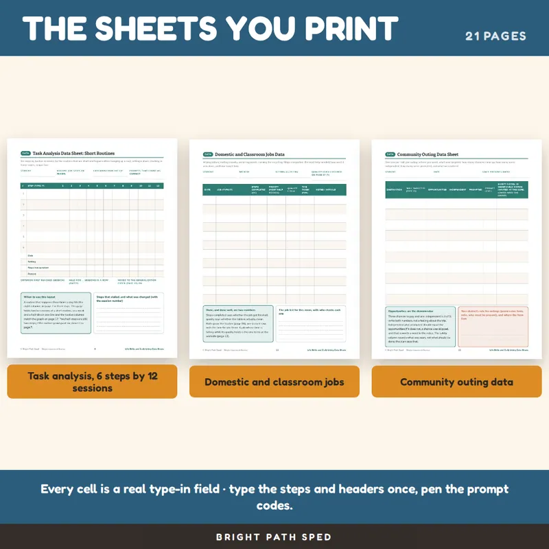 Life Skills Data Sheets Editable, image 3 of 4