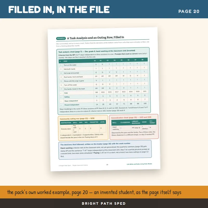 Life Skills Data Sheets Editable, image 4 of 4
