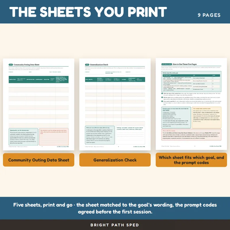 Life Skills Data Sheets FREE, image 3 of 4