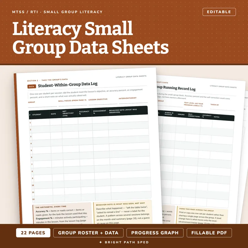 Literacy Small Group Intervention Data Collection Sheets Editable, image 1 of 4