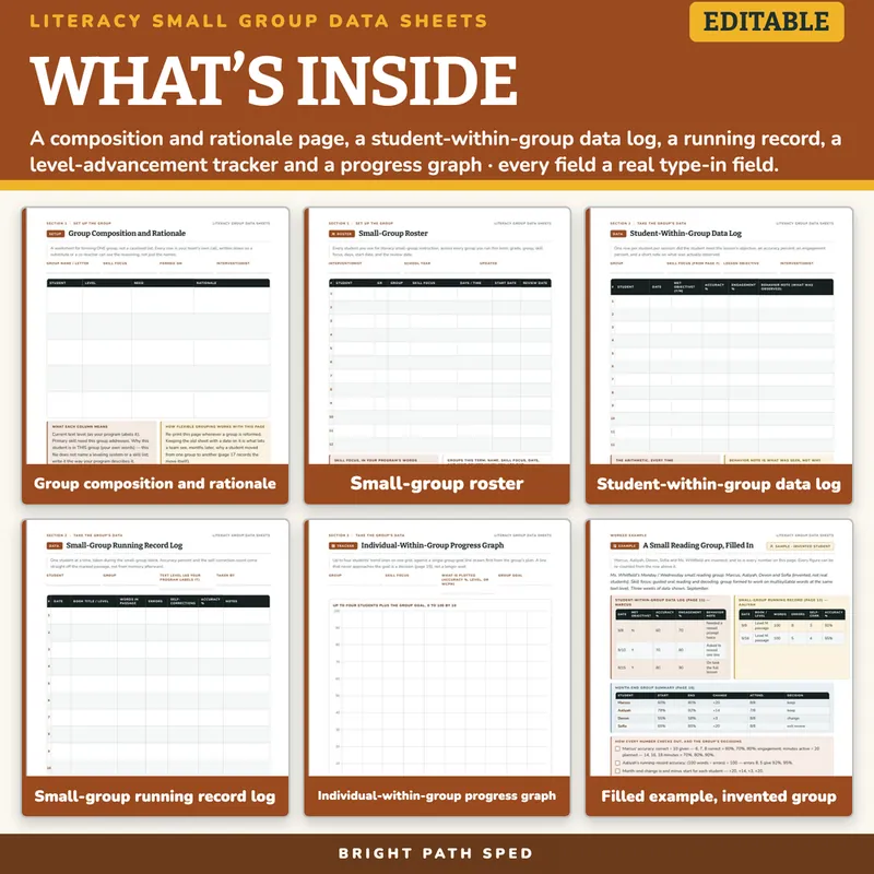 Literacy Small Group Intervention Data Collection Sheets Editable, image 2 of 4