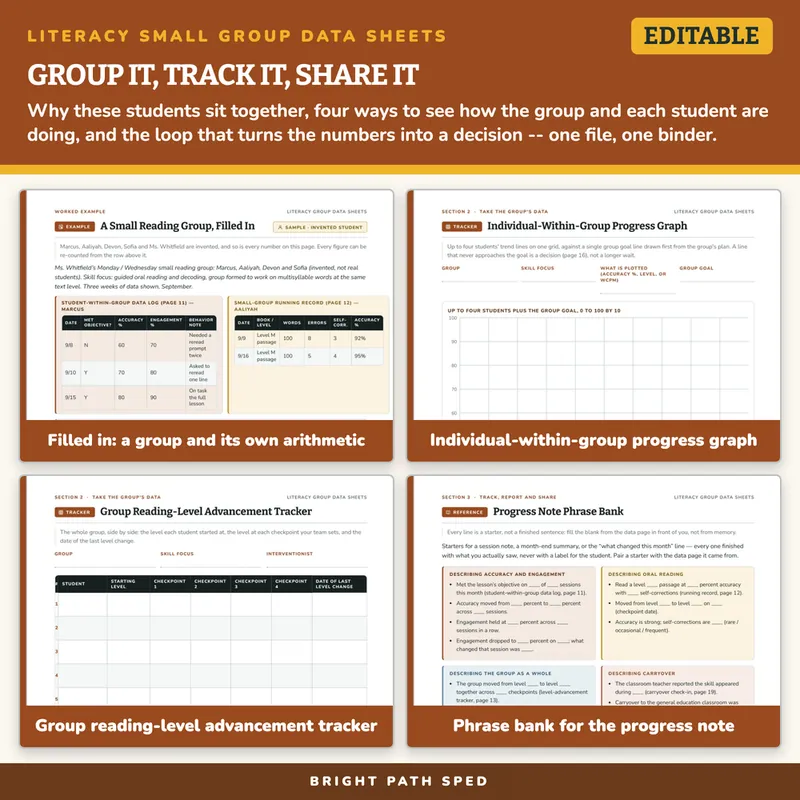 Literacy Small Group Intervention Data Collection Sheets Editable, image 3 of 4