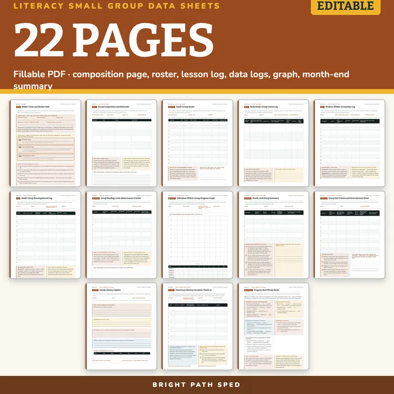 Literacy Small Group Intervention Data Collection Sheets Editable, image 4 of 4