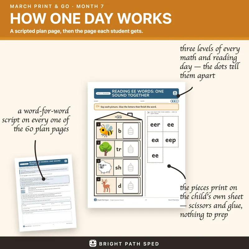 March Print and Go Month 7 SPED Lesson Plans Math Reading Social Skills, image 2 of 4