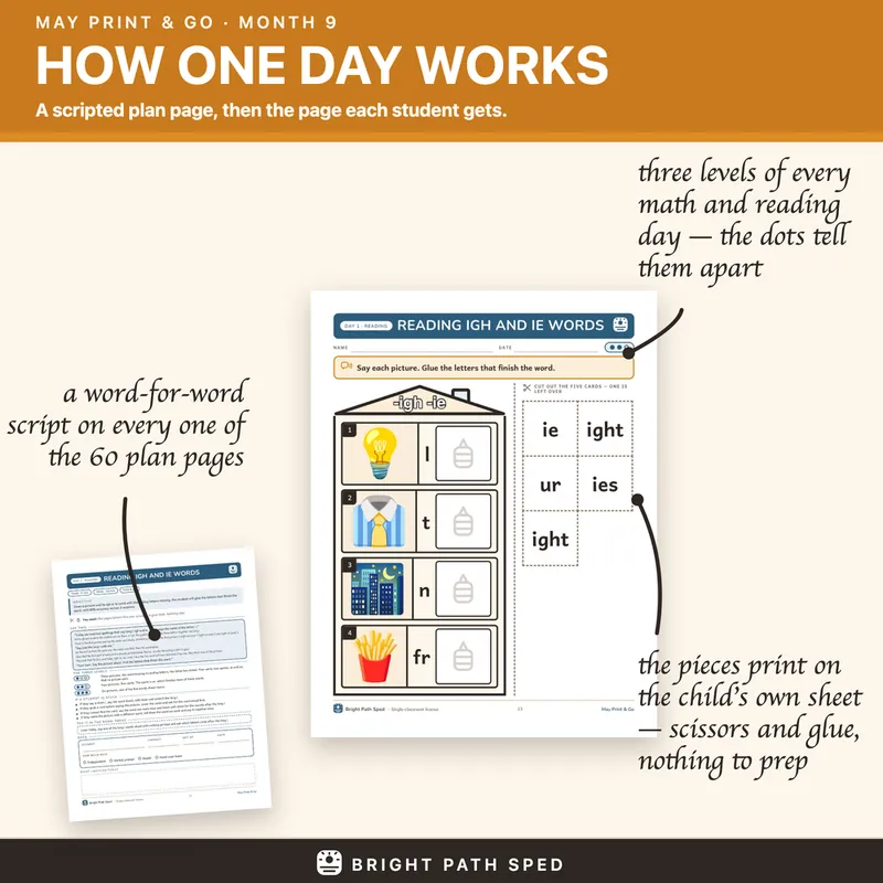 May Print and Go Month 9 SPED Lesson Plans Math Reading Social Skills, image 2 of 4