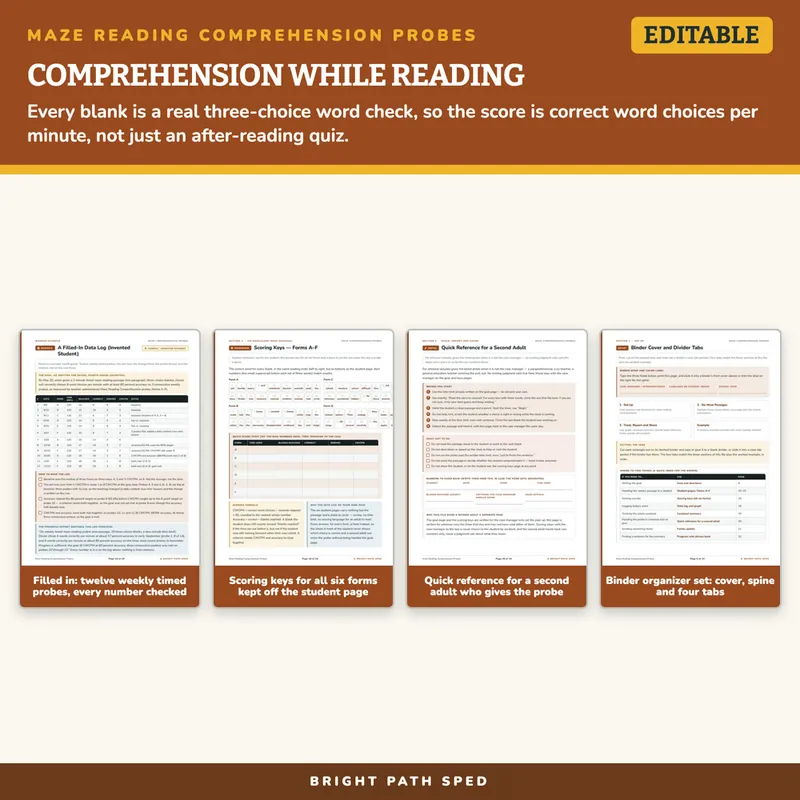 Maze Reading Comprehension Probes, image 3 of 4